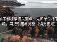 柚子影视读懂关键点：先抓单位标了吗，再把引用补完整（读完更顺）