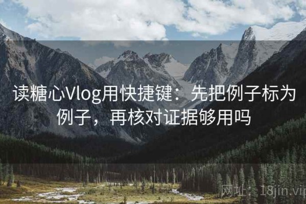 读糖心Vlog用快捷键：先把例子标为例子，再核对证据够用吗