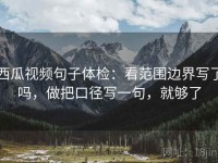 西瓜视频句子体检：看范围边界写了吗，做把口径写一句，就够了