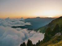 可可影视两步走：先把标题改成问句，再回头看转发语加码吗