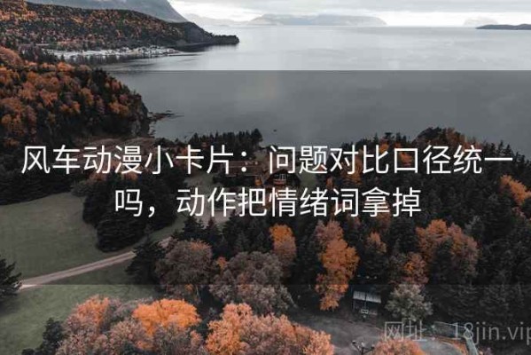 风车动漫小卡片：问题对比口径统一吗，动作把情绪词拿掉