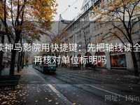 读神马影院用快捷键：先把轴线读全，再核对单位标明吗