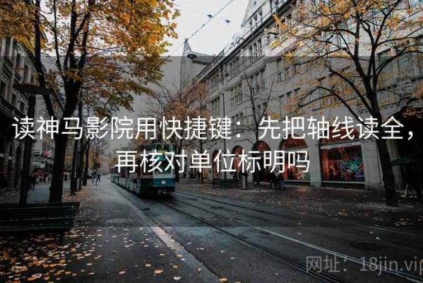 读神马影院用快捷键：先把轴线读全，再核对单位标明吗